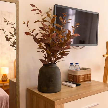 Central Guest House *